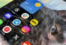 لقد قمت بتنزيل هذا التطبيق المنسي في عام 2025، ولم أندم عليه
