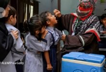 ما الذي يسبب طفرات في الأمراض المعدية؟