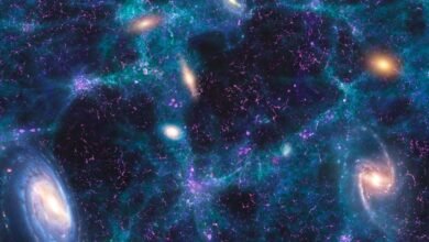 An illustration of different galaxies against a blue and purple weblike background.