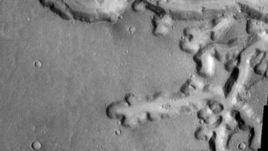 وصف الجيولوجيون كيف غيرت الأنهار والأنهار الجليدية القديمة تضاريس أحد أودية المريخ