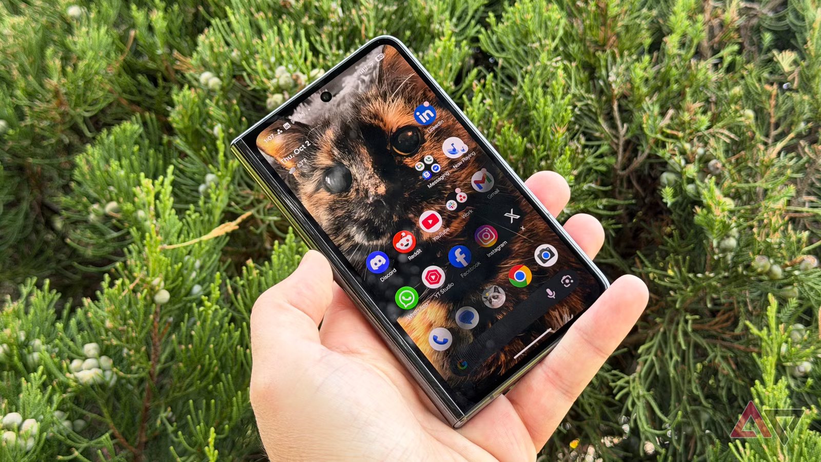 يريد متجر Google Play الآن إثباتًا بأنك تبلغ من العمر 18 عامًا أو أكبر
