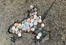 a rat-shaped indentation in a street filled with coins and a baggy of estrogen pills