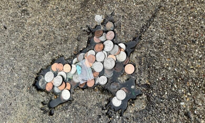 يزعم العلماء أن "ثقب الفئران في شيكاغو" الفيروسي لم يصنعه في الواقع فأر 1 a rat-shaped indentation in a street filled with coins and a baggy of estrogen pills