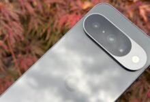 يعد Google Pixel 10 ممتازًا بالفعل مقابل 800 دولار، لكنه لا يقاوم مقابل 550 دولارًا