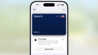 يعد دعم جواز السفر الأمريكي في Apple Wallet خطوة مهمة للغاية 3 يعد دعم جواز السفر الأمريكي في Apple Wallet خطوة مهمة للغاية