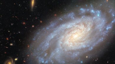 المجرة الحلزونية NGC 3370