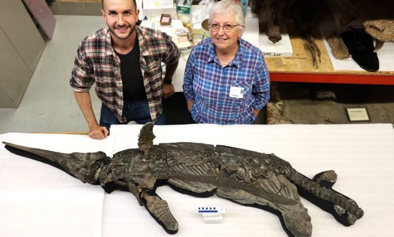 يمكن لأنواع جديدة من "تنين السيف" الجوراسي أن تساعد في حل لغز تطوري 1 Two researchers pose next to a large fossil of a marine reptile with a pointed snout
