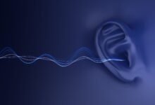 an illustration of sound waves traveling to an ear
