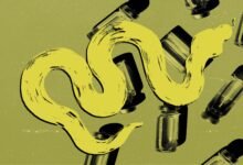 An illustration of a snake over vials of antivenom