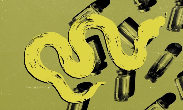 يمكن للعلماء قريبًا إنشاء "مضاد سموم عالمي". ولكن هل سينقذ الأرواح؟ 1 An illustration of a snake over vials of antivenom