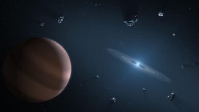 An illustration of a planet orbiting a white dwarf star