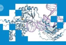 يهدف الذكاء الاصطناعي لبنية البروتين مفتوحة المصدر إلى مطابقة AlphaFold