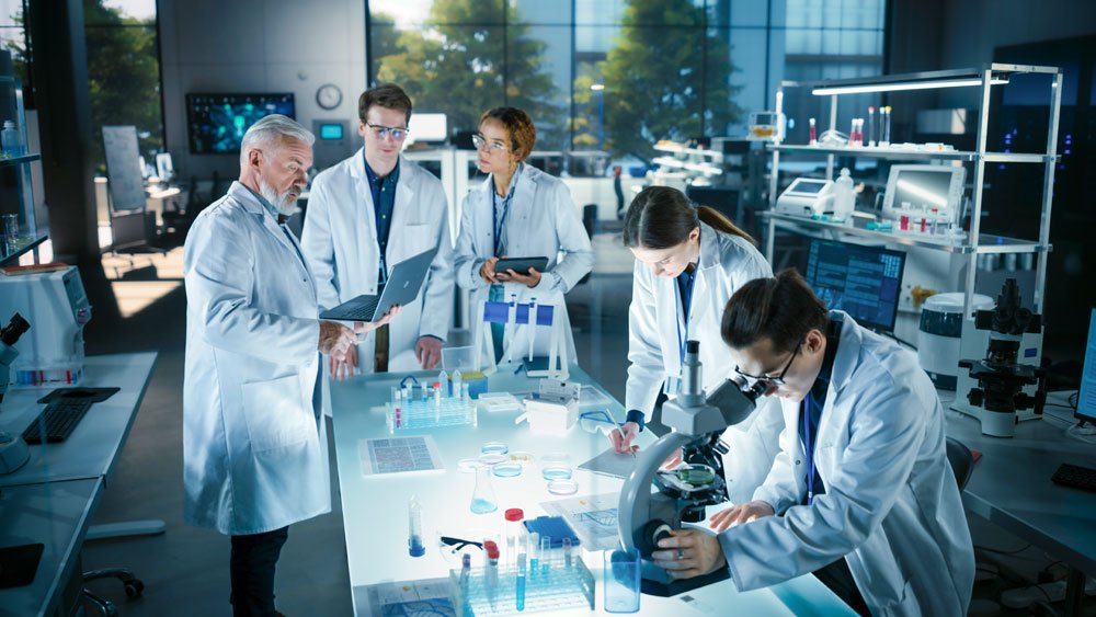 اكتشف العلماء كيف «تقرر الخلايا ما إذا كانت ستصبح خلايا عصبية أم عضلات»