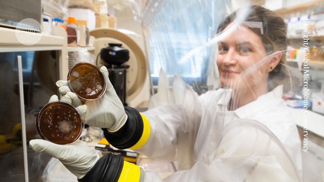 كيف يسخر الباحثون البول والبراز من أجل العلم