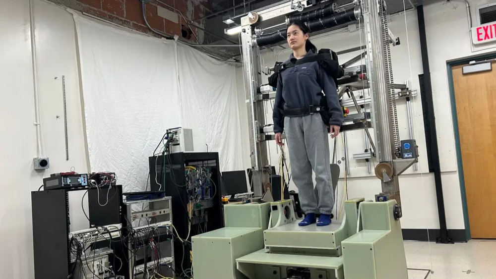 يساعد الروبوت على فهم كيفية قيام الدماغ بإبقاء الجسم في وضع مستقيم يساعد الروبوت على فهم كيفية قيام الدماغ بإبقاء الجسم في وضع مستقيم