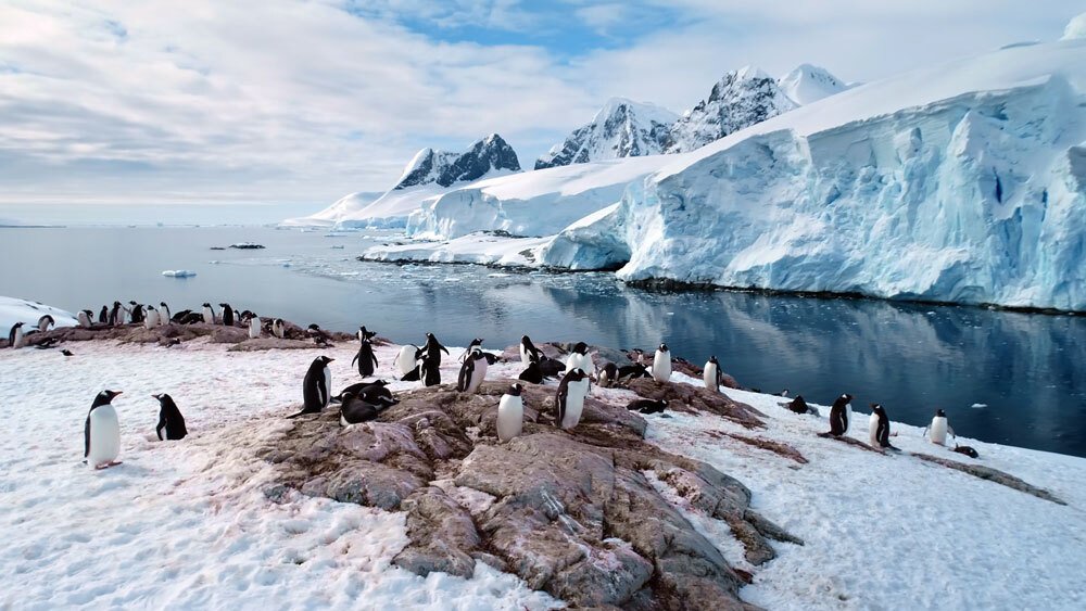 اكتشاف فائدة غير متوقعة في تسريع ذوبان الأنهار الجليدية في القطب الجنوبي