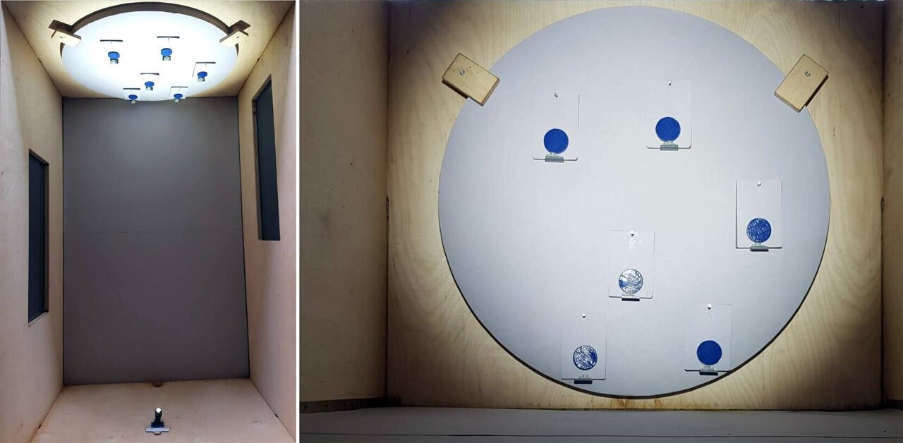 أوضحت التجربة سبب وجود عدد قليل من الألوان اللامعة في الطبيعة