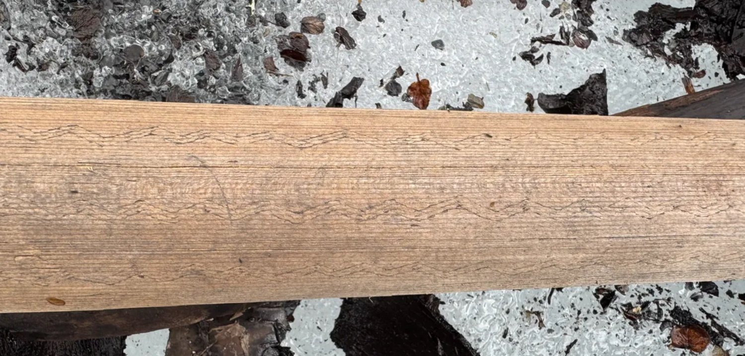 40188dac72eb879f5e814368ffea68432f80ade1