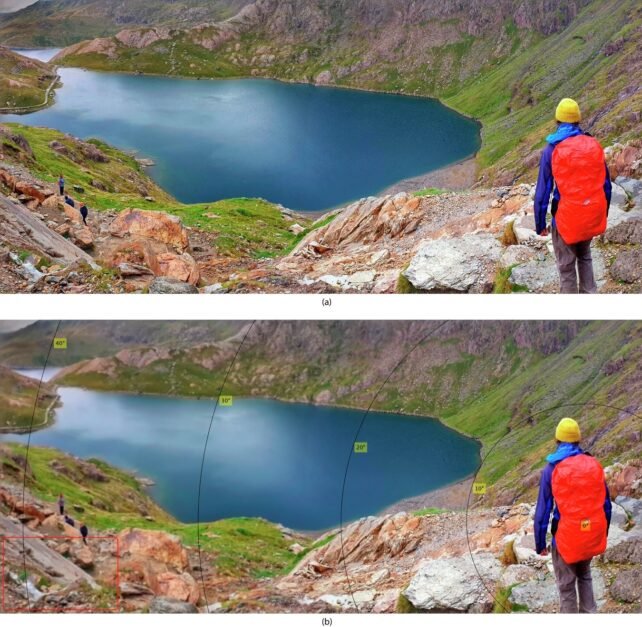 41467 2025 64679 Fig3 HTML