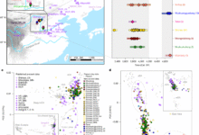 Ancient DNA from Shimao city records kinship practices in Neolithic China