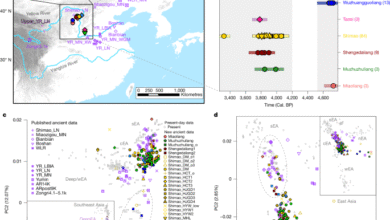 Ancient DNA from Shimao city records kinship practices in Neolithic China