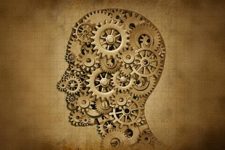 كيف يختار الدماغ ما يجب تذكره وما يجب نسيانه