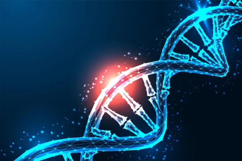 DNA Damage Repair Genetic Mutation