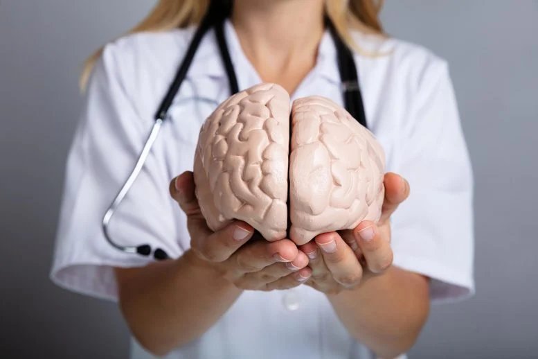 Doctor Holding Brain Model