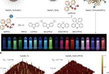 Electro-generated excitons for tunable lanthanide electroluminescence