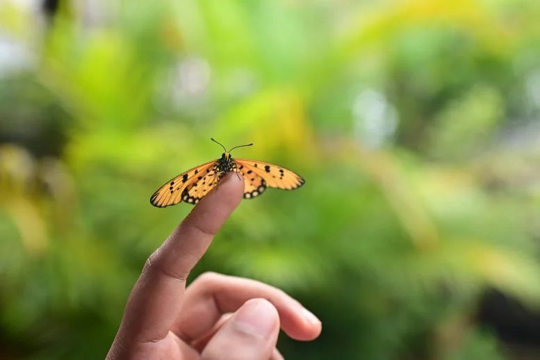 يقول بحث جديد إن البشر تطوروا من أجل الطبيعة، وليس المدن يقول بحث جديد إن البشر تطوروا من أجل الطبيعة، وليس المدن