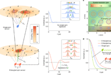 Entanglement-enhanced nanoscale single-spin sensing | Nature