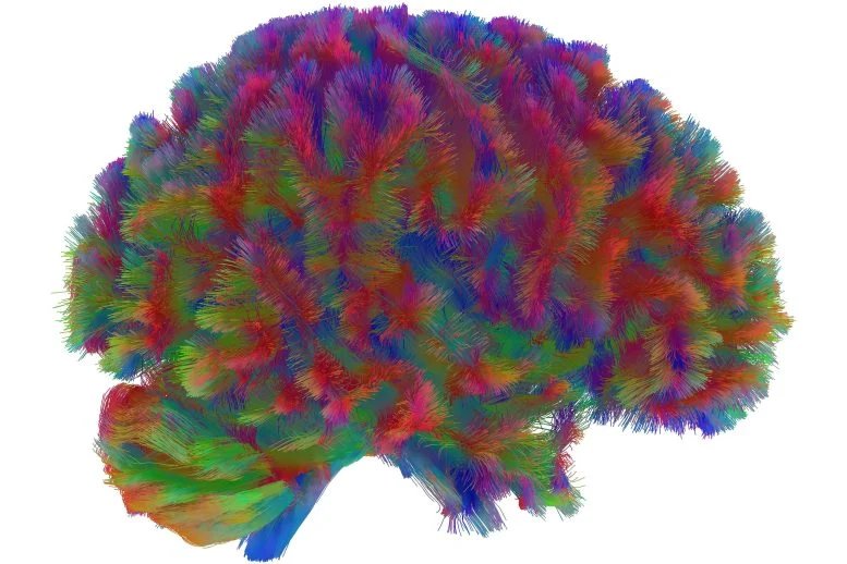 Fifth Era of Human Brain