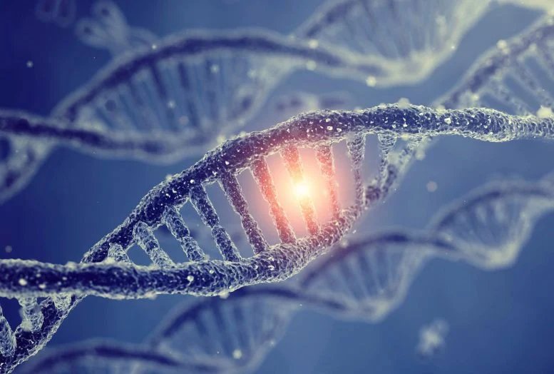 دراسة جديدة تتحدى نظرية علم الأحياء لمدة 60 عامًا