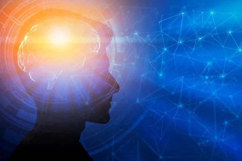 Genius Mindset.Intelligence Brain Development Adaptation