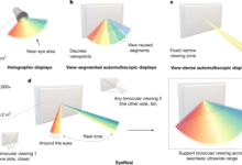 Glasses-free 3D display with ultrawide viewing range using deep learning