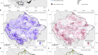 Healthy forests safeguard traditional wild meat food systems in Amazonia
