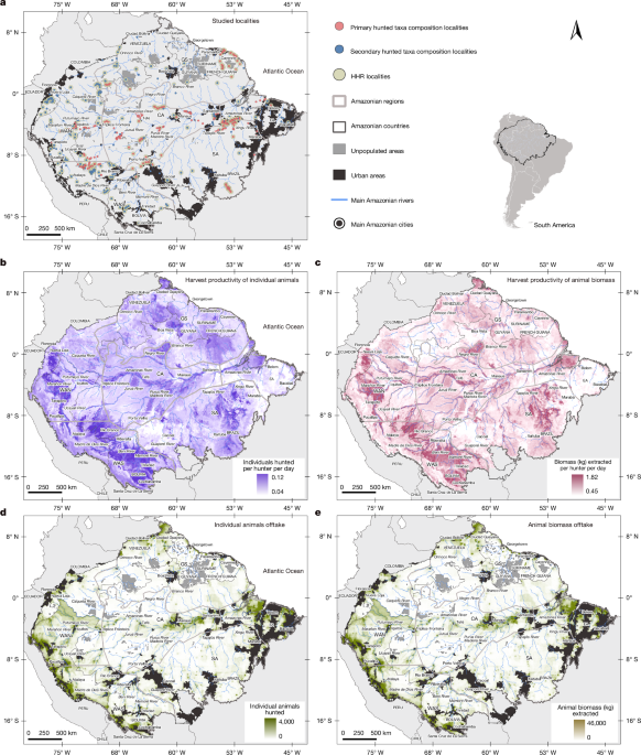 Healthy forests safeguard traditional wild meat food systems in Amazonia