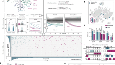 Inhibitors supercharge kinase turnover through native proteolytic circuits