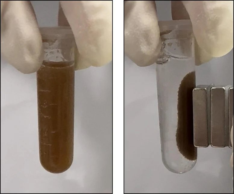 Microspheres That Sense Gastrointestinal Disease