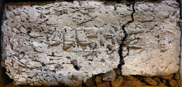 إعادة كتابة التاريخ المملكة المصرية الجديدة بدأت في وقت متأخر عما كنا نظن