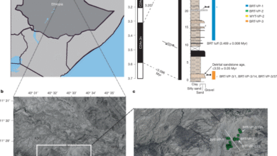 New finds shed light on diet and locomotion in Australopithecus deyiremeda