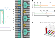 Operating two exchange-only qubits in parallel