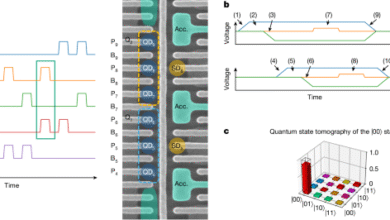 Operating two exchange-only qubits in parallel Operating two exchange-only qubits in parallel