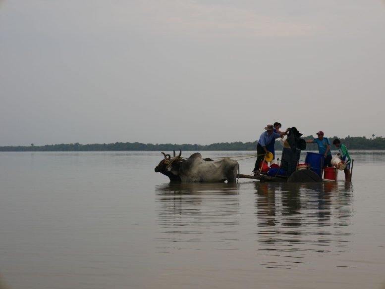 العلماء يكتشفون المناظر الطبيعية المفقودة في الأمازون، ويكشفون عن الماضي الذي صنعه الإنسان 2 People Collecting Water From Lake Rogaguado