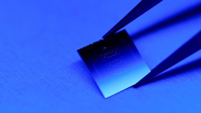 يمكن للبت الكمي الذي حقق تقدمًا كبيرًا في جامعة برينستون أن يجعل الحوسبة الكمومية عملية أخيرًا 2 Princeton Quantum Chip