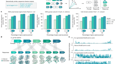 Semantic design of functional de novo genes from a genomic language model