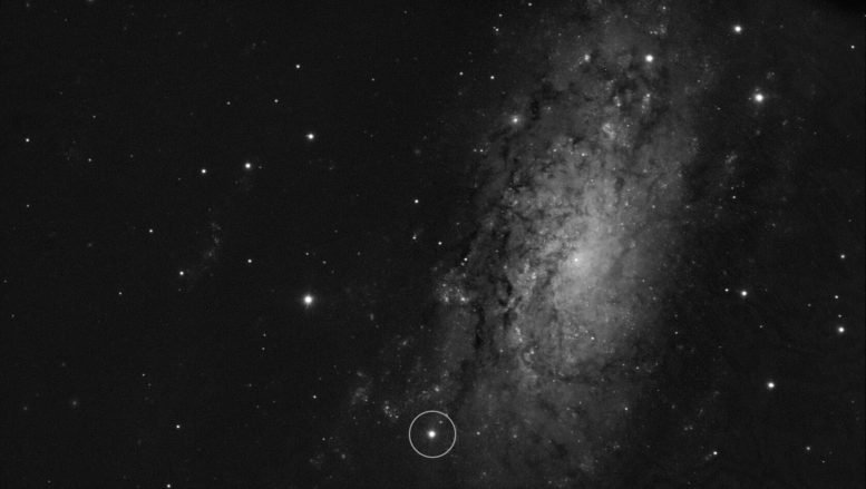 Supernova SN 2024ggi in NGC 3621 Galaxy