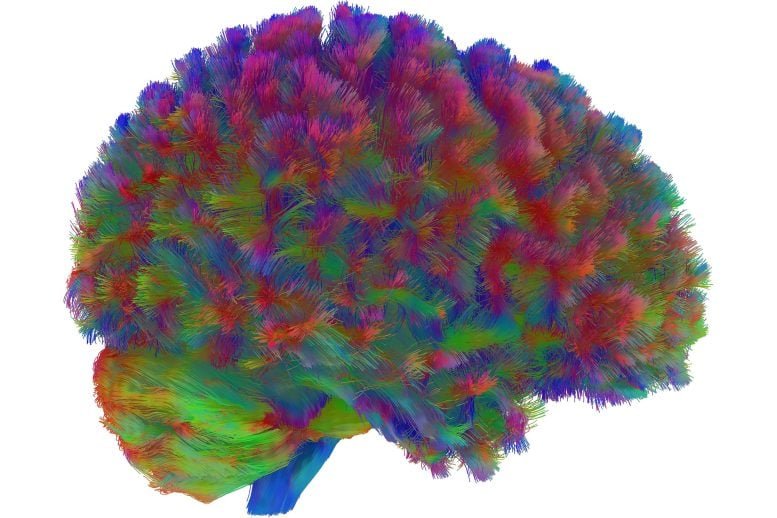 Third Era of Human Brain