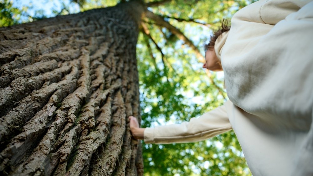 المعتقدات الغامضة تساعد في جعل الحياة ذات معنى – علماء النفس