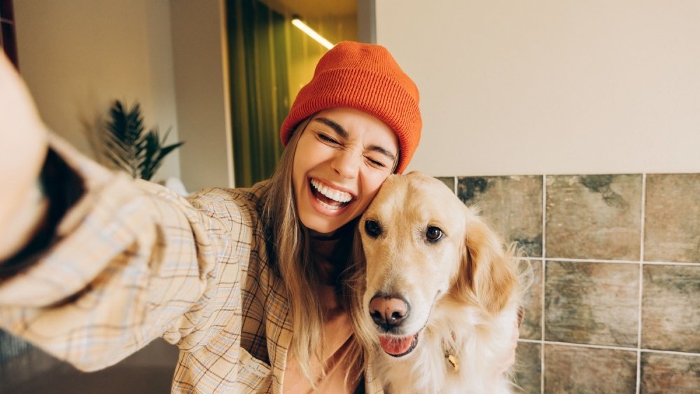 إن مشاعر الكلاب والناس متشابهة أكثر مما يعتقد